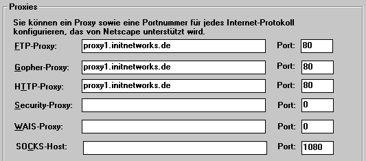 Proxy-Einstellungen in Netscape 3